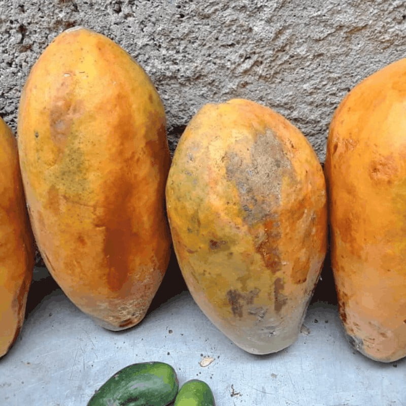 COMBO - La Jaba de Alina - Imagen 4