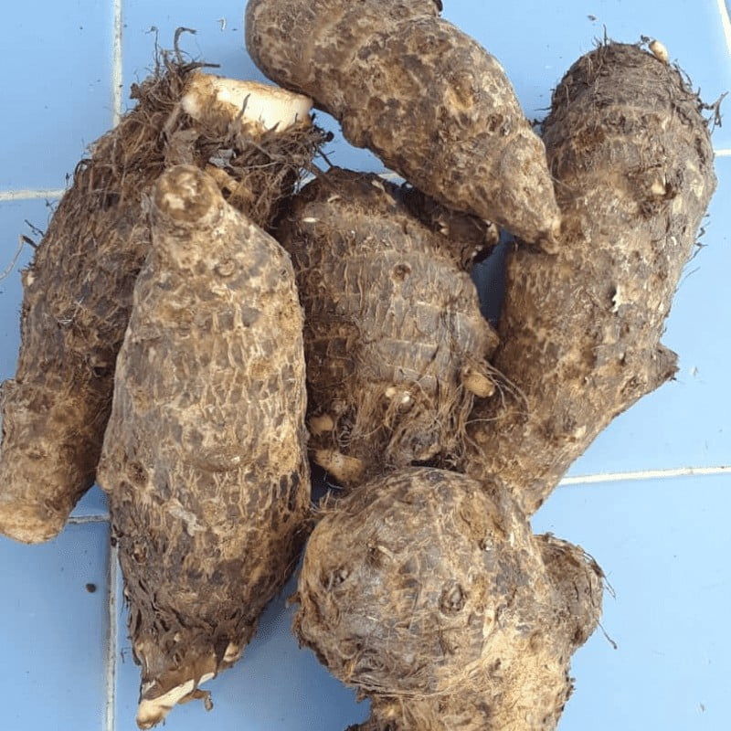 COMBO - La Jaba de Alina - Imagen 5