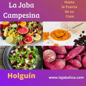 Combo Campo- La Jaba del Campo ( Holguín)