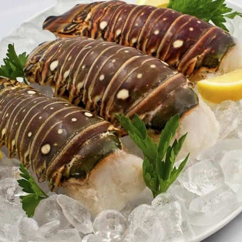 COMBO - La Jaba Marina - Imagen 2