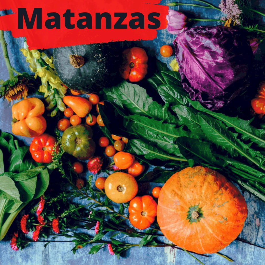 COMBO - La Jabegana (Matanzas)