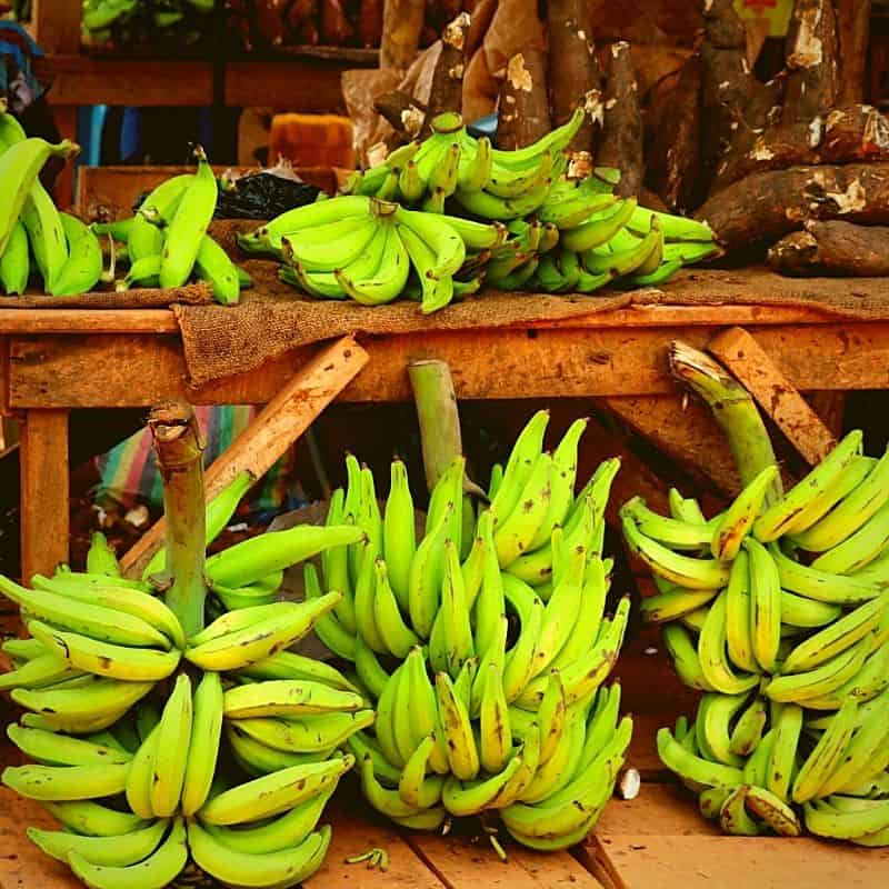 COMBO - La Jabita Mixta (Matanzas) - Imagen 6