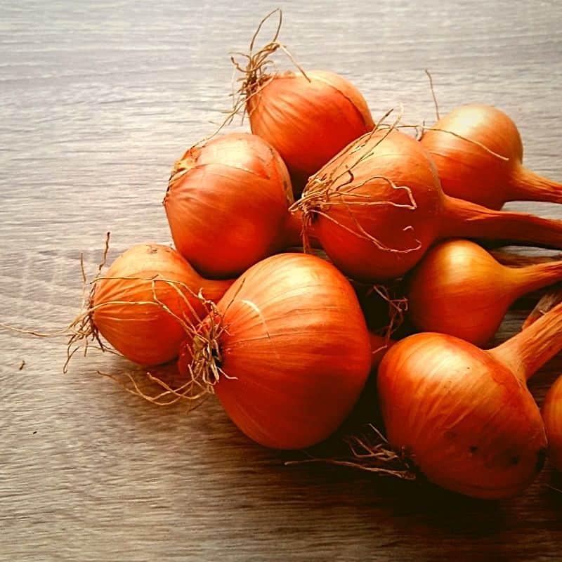 COMBO - La Jaba Variadita - Imagen 5