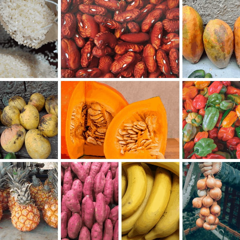 COMBO - La Jabegana - Imagen 2