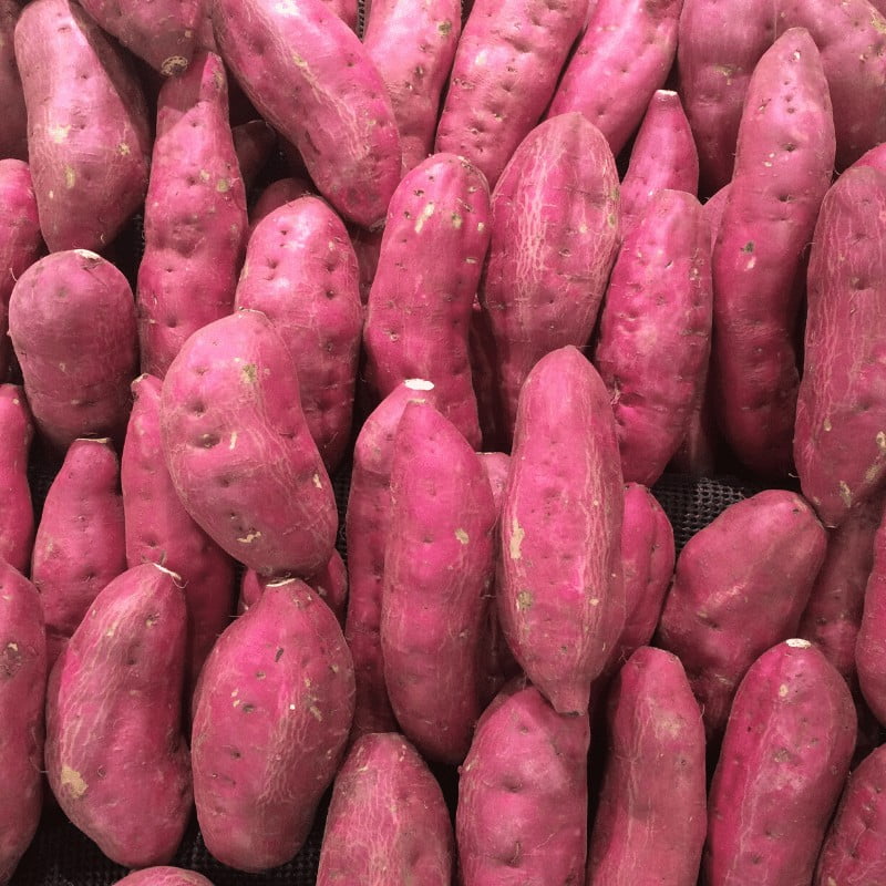 COMBO - La Jabegana (Matanzas) - Imagen 8