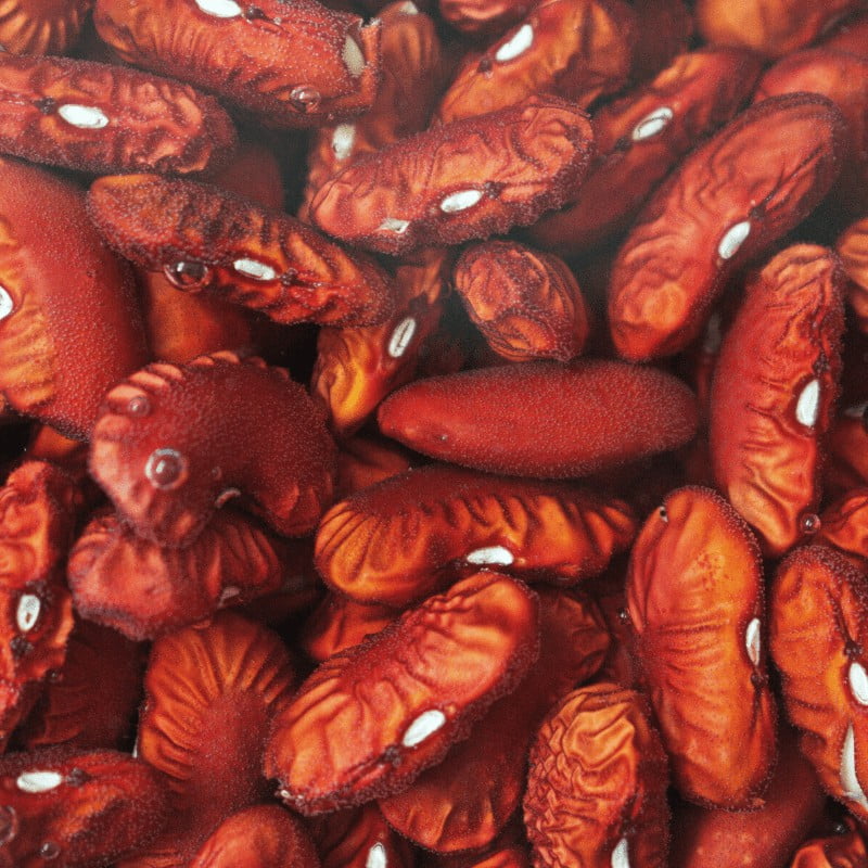 COMBO - La Jaba YumureƱa (Matanzas) - Imagen 6