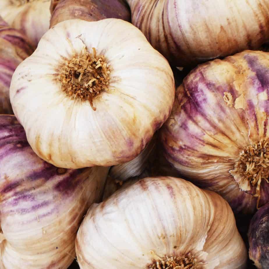 COMBO - La Jabita Mixta (Matanzas) - Imagen 7