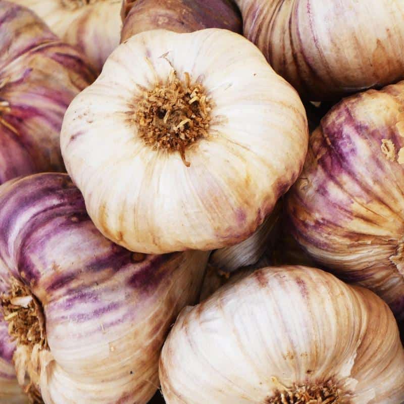 COMBO - La Jaba YumureƱa (Matanzas) - Imagen 9