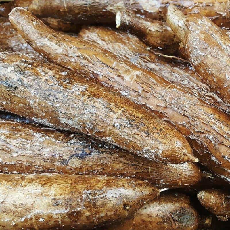 COMBO - La Jaba YumureƱa (Matanzas) - Imagen 3